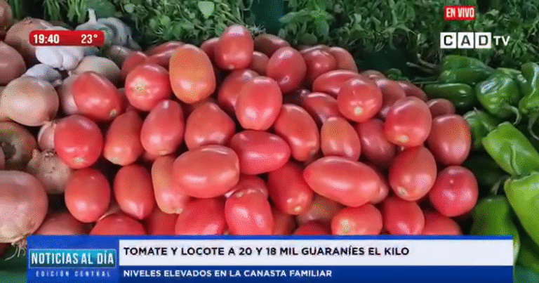 Menú sin carne y ahora también sin tomate
