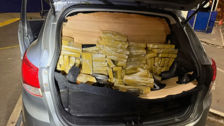 Pareja de paraguayos detenidos con 184,5 kilogramos de marihuana