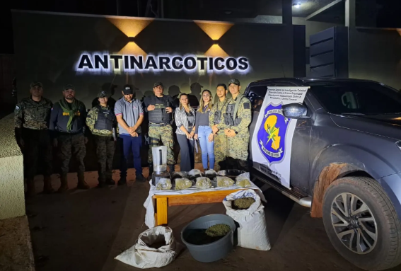 Detención de una persona y  destrucción de un cultivo extenso de marihuana en Operativo Antidrogas