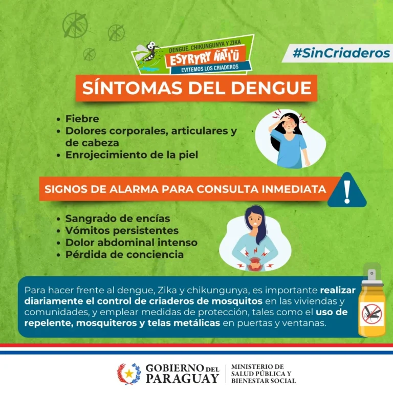 Salud: Identificación y manejo de síntomas iniciales del dengue.