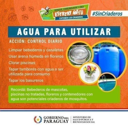 Salud: Mosquitos en casa? Acaba con ellos hoy mismo