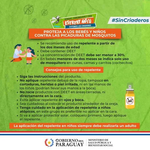 Salud: Protección contra el dengue: precauciones para vacaciones libres de mosquitos