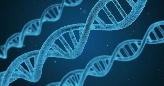 Curiosidades: 10 Enfermedades Graves que Ofrecen Beneficios de Salud Sorprendentes para los Pacientes