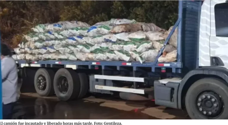 Liberaron cargamento de mandioca tras polémica incautación