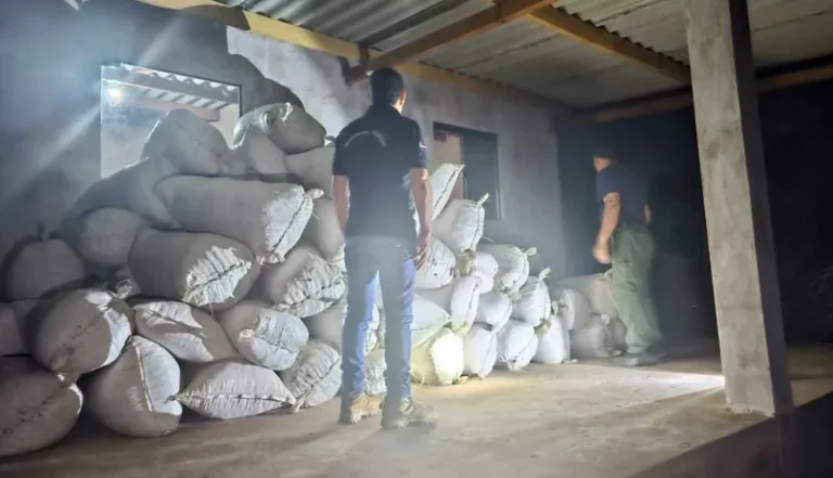 Allanamiento simultáneo en Amambay: Duro golpe al microtráfico