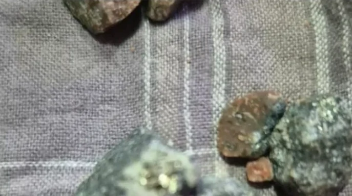 Mineralización de Caapucú es favorable para hallar oro, plata y cobre