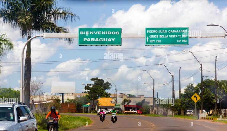 Senacsa intensifica controles fronterizos ante brote de gripe aviar en Brasil