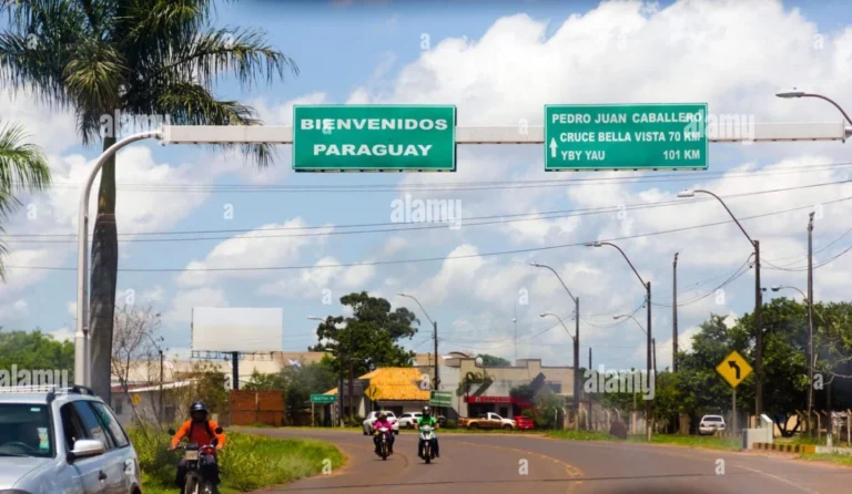 Senacsa intensifica controles fronterizos ante brote de gripe aviar en Brasil