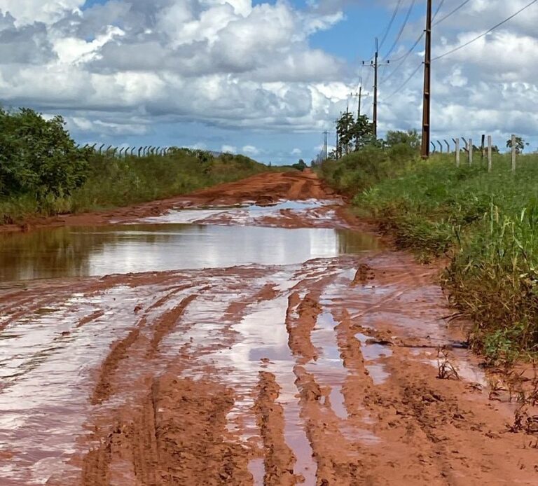 La Agonía Persiste: La Ruta Pedro J. Caballero – Cap. Bado un suplicio para transportistas