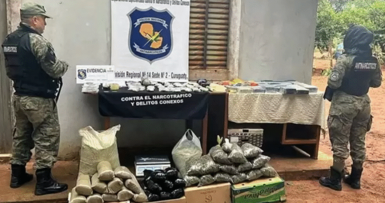 Descubren 46,3 kilos de marihuana en cargamento de yerba mate