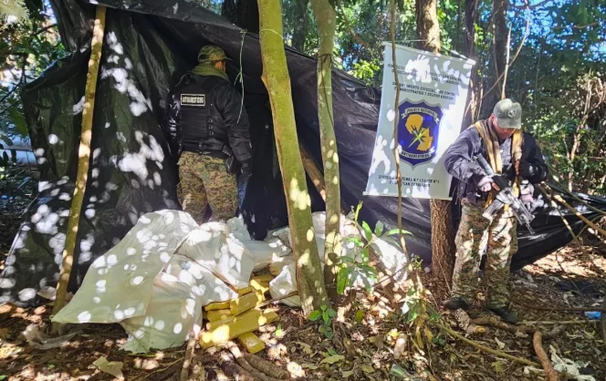Incineran más de seis toneladas de marihuana