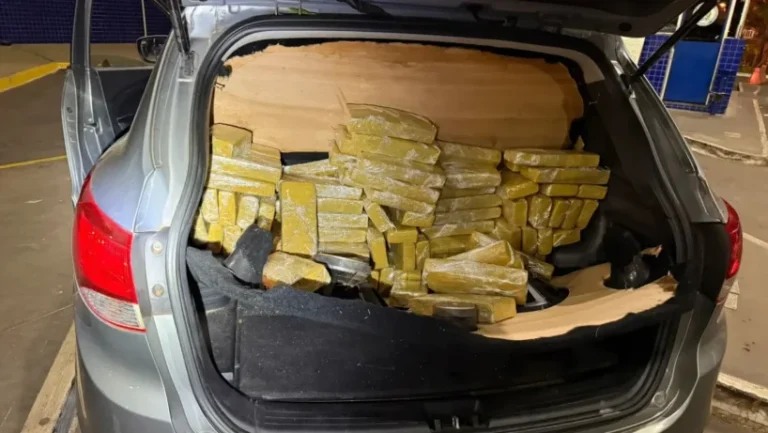 Pareja de paraguayos detenidos con 184,5 kilogramos de marihuana