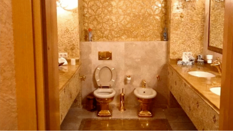 Bolsas repletas de dinero e inodoro de oro: qué sabemos a una semana del escándalo de corrupción de Zelenski