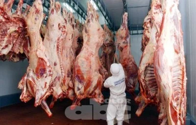 CONACOM expone un esquema dominado por un reducido número de actores que controlan las etapas de producción, sacrificio y comercialización de la carne