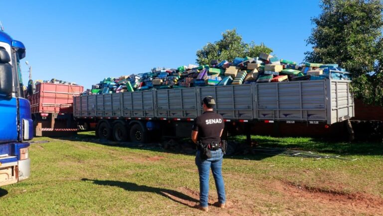 Récord de decomiso de marihuana llega a casi 90.000 kilos, con un valor que supera los USD 13 millones