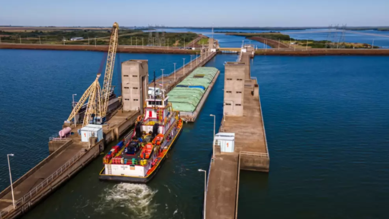 Por primera vez, 16 productos nacionales conquistaron el mercado exterior