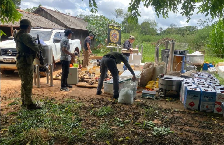 Senad desmantela enclave de producción de marihuana prémium en Amambay