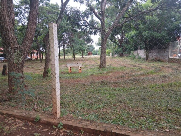 Municipalidad de Pedro Juan da la mano a las instituciones educativas con limpiezas para el inicio de clases