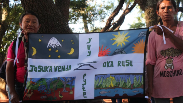 Indígenas denuncian tala masiva en territorio ancestral en Amambay