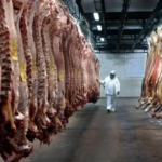 Europa mira otro negocio paraguayo: firma británica quiere sumar carne ovina