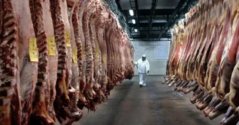Europa mira otro negocio paraguayo: firma británica quiere sumar carne ovina