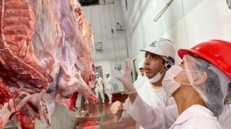 Exportaciones de carne bovina no se recuperan: tuvieron una caída 12,2% en abril