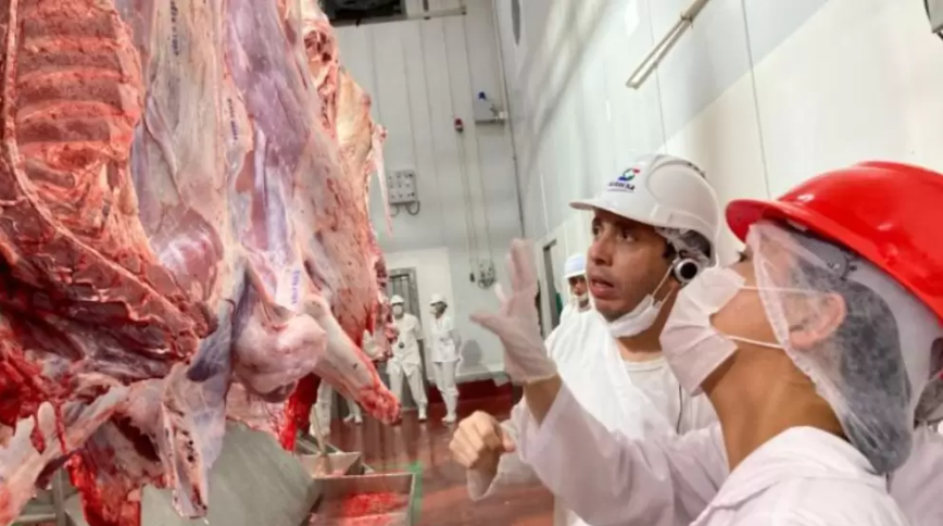 Exportaciones de carne bovina no se recuperan: tuvieron una caída 12,2% en abril