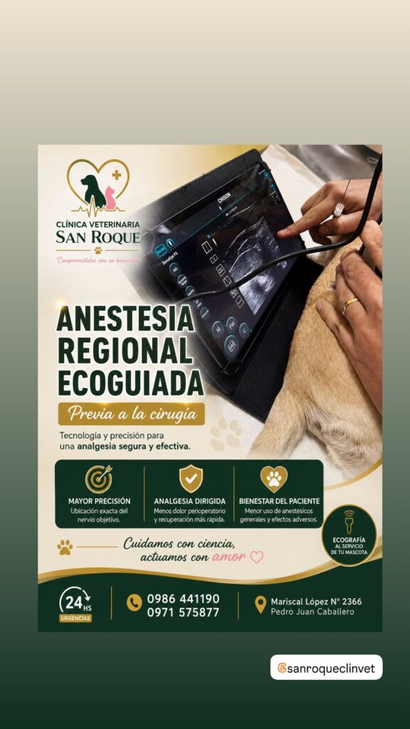 Para el bienestar de tu mascota: La Clínica Veterinaria San Roque cuenta con la anestesia regional ecoguiada