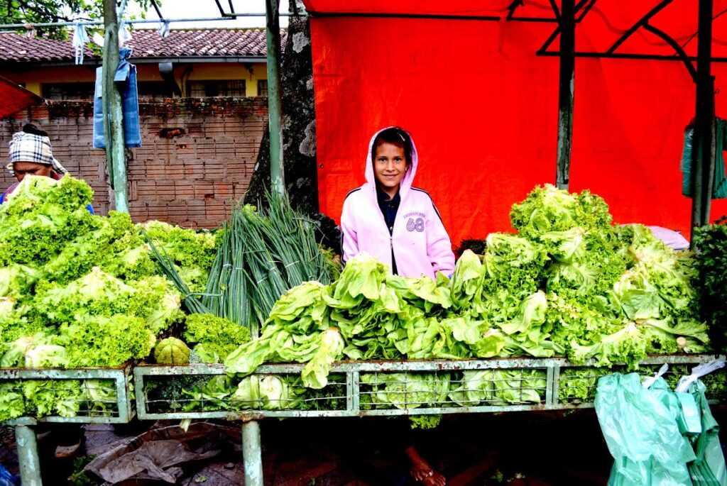 El crecimiento macroeconómico no desplaza el límite de la pobreza