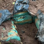 Operativo descubre importante depósito de marihuana en Concepción