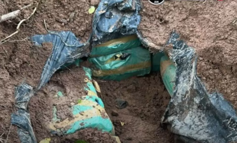 Operativo descubre importante depósito de marihuana en Concepción