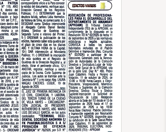 La Asociación de Profesionales para el Desarrollo del Departamento de Amambay convoca a Elecciones de su Comisión Directiva y Sindicatura