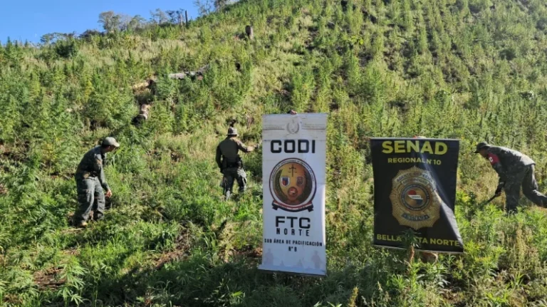 Operativo Antidroga en Bella Vista: Un Golpe al Narcotráfico en Amambay