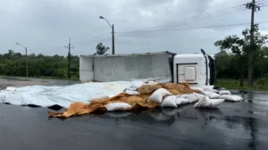 Un camión cargado con harina y afrecho volcó en la entrada de Bella Vista
