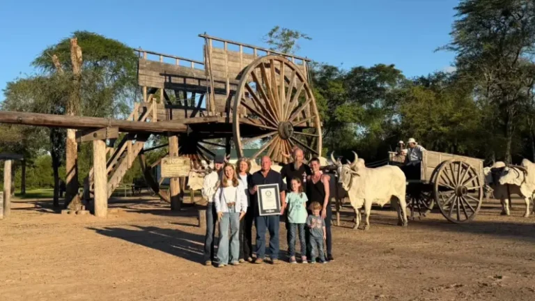 Desde el Chaco paraguayo al mundo: Un Récord Guinness para la carreta de bueyes más grande del mundo