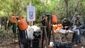 Destruyen laboratorio de resina de cannabis que usaba gas butano en Capitán Bado