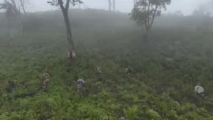Senad saca de circulación 12 toneladas de marihuana en Bella Vista